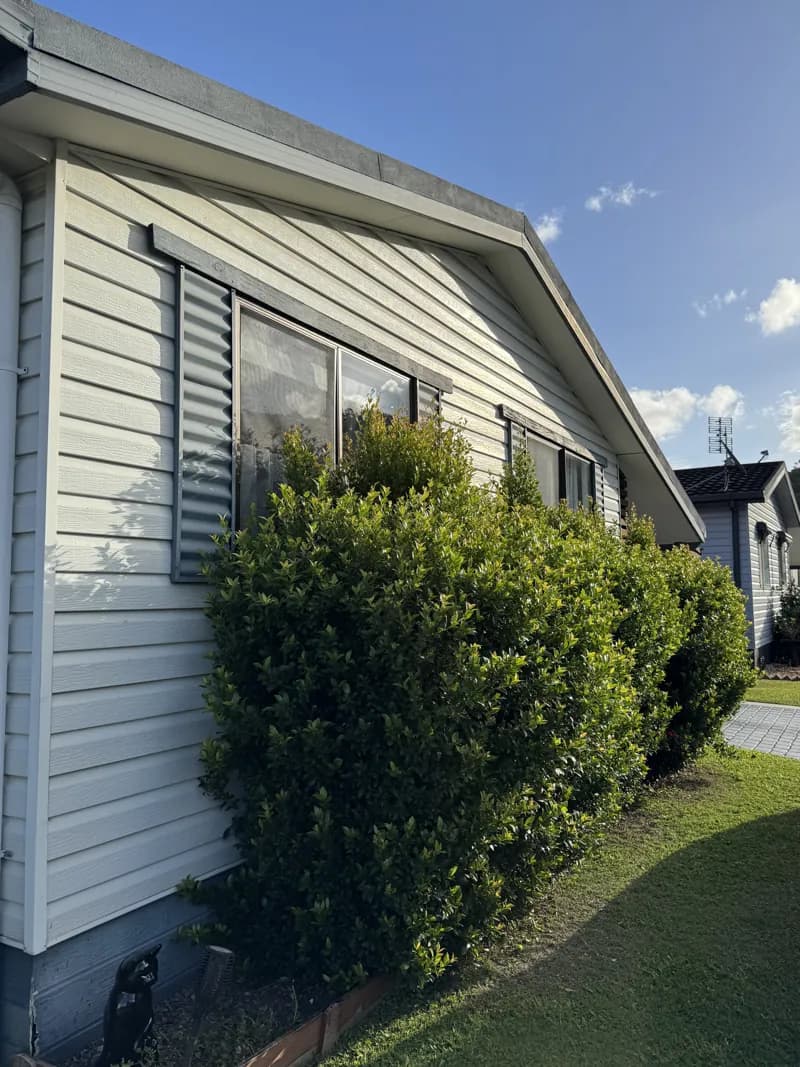 Hedge trim, before