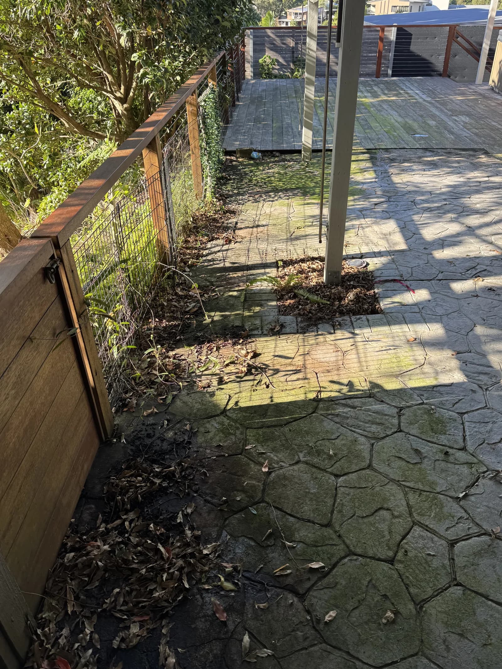 Paved path, before
